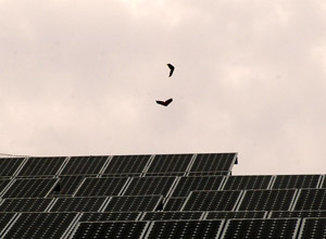 Solarberg Fürth bei der Woche der Sonne 2010