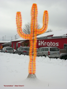 SonnenkaktusimSchneekl.jpg