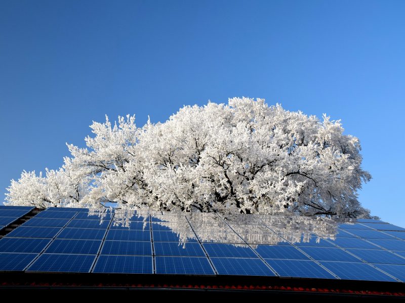Batteriespeicher für Photovoltaik